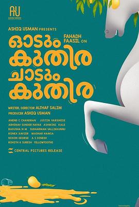 一匹马奔跑,一匹马跳跃