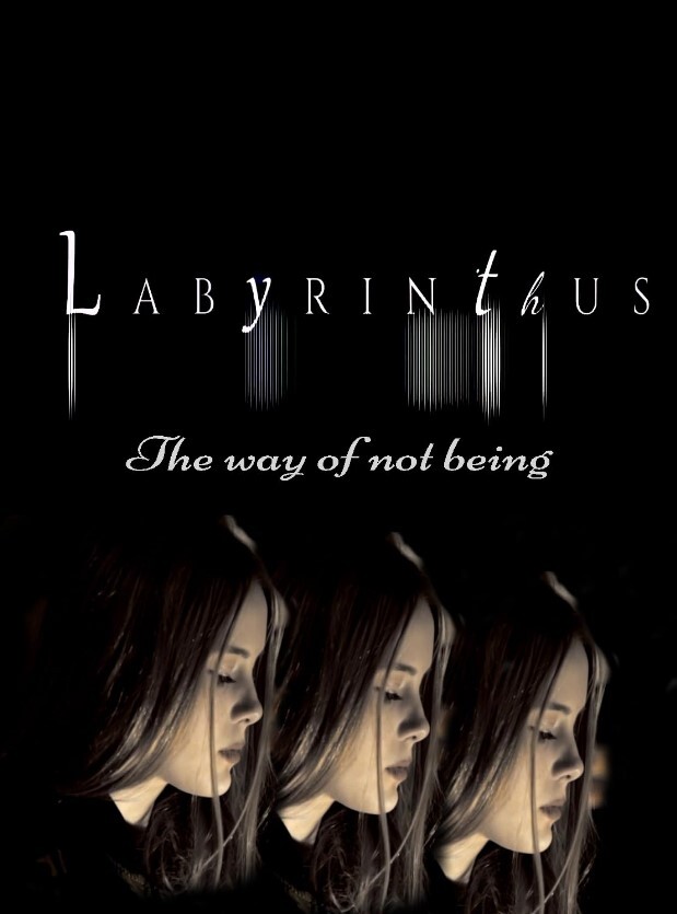 迷宫:不存在之道