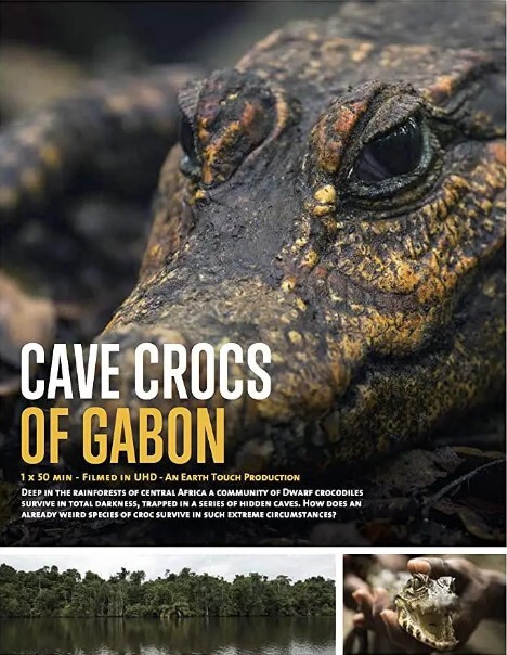 Cave Crocs of Gabon
