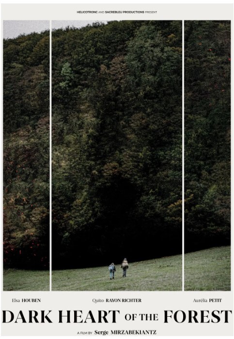 森林的黑暗心脏