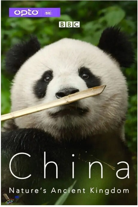 中国:大自然的古老王国 第一季